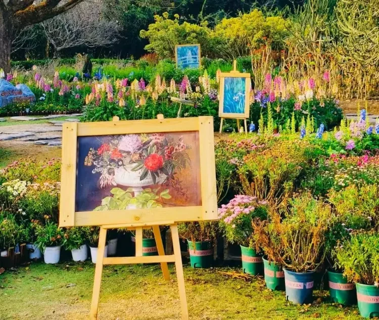 6122d6d8669524e8faf03844ff0e5b3d-sz_360021 6122d6d8669524e8faf03844ff0e5b3d-sz_360021