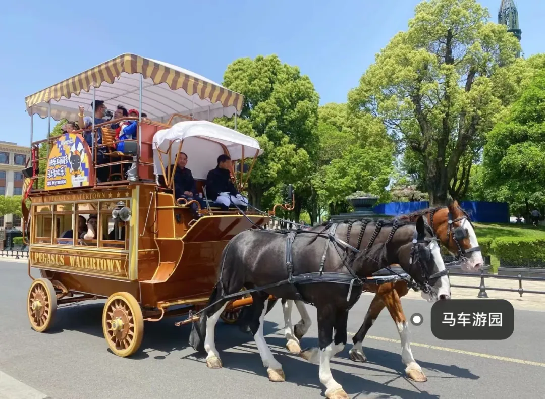 61449be791a5d4d1b1f138d8c65eecb9-sz_509548 61449be791a5d4d1b1f138d8c65eecb9-sz_509548