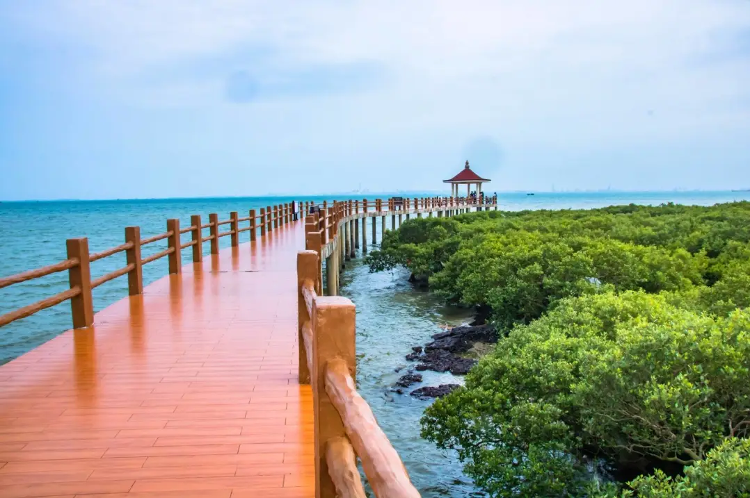 615c8f4cc5035124c11085b2d3b1eb63-sz_293466 615c8f4cc5035124c11085b2d3b1eb63-sz_293466