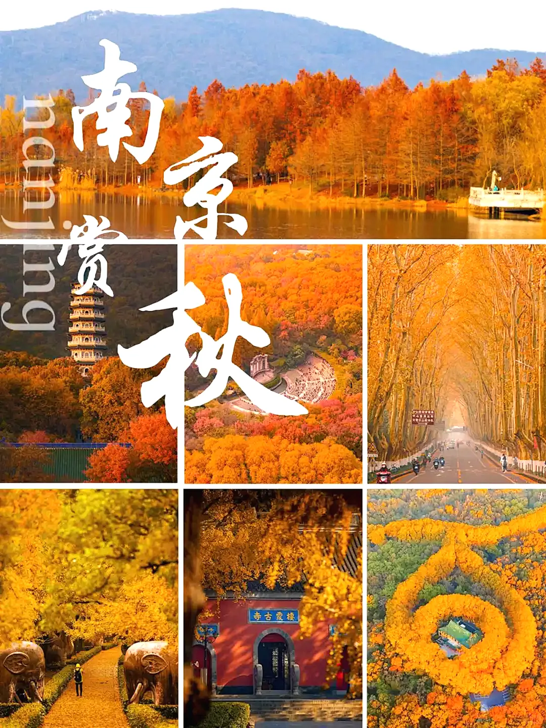 61824c91bf5a091a132d04cab93a6ea9-sz_2363666 61824c91bf5a091a132d04cab93a6ea9-sz_2363666