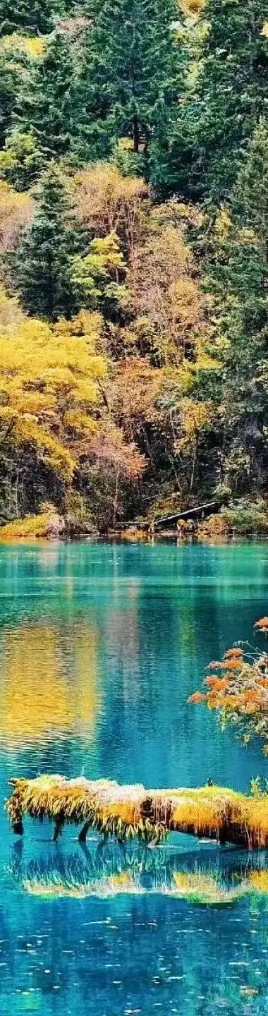 61dd375a8a0d50ec98cd101c3d13fc54-sz_492702