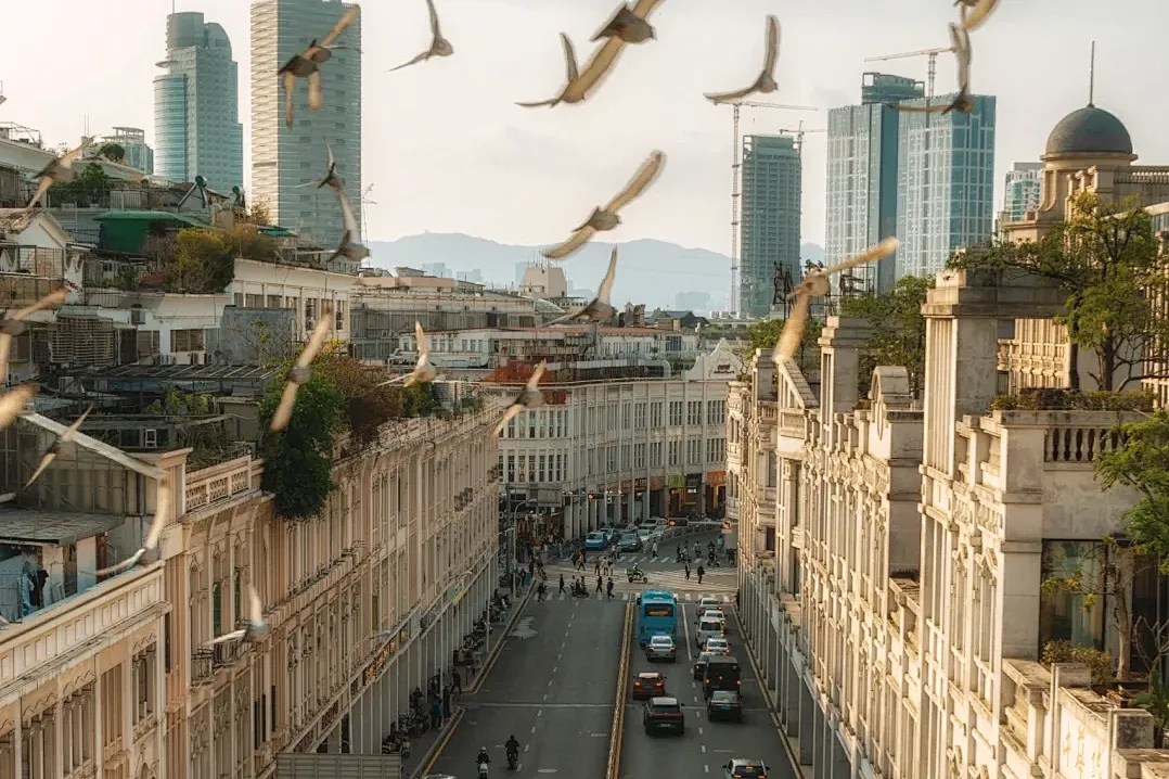 61e73ba49278dc42c4104553eb9c9d95-sz_2048107