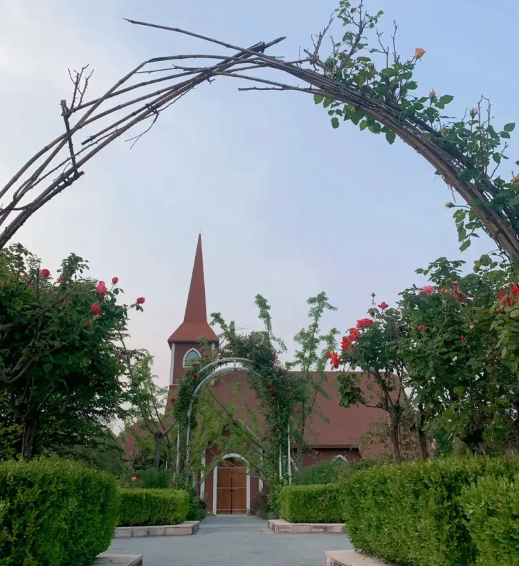 61ebd9cafe50c24ffb9dc337e6f76e4b-sz_865134 61ebd9cafe50c24ffb9dc337e6f76e4b-sz_865134