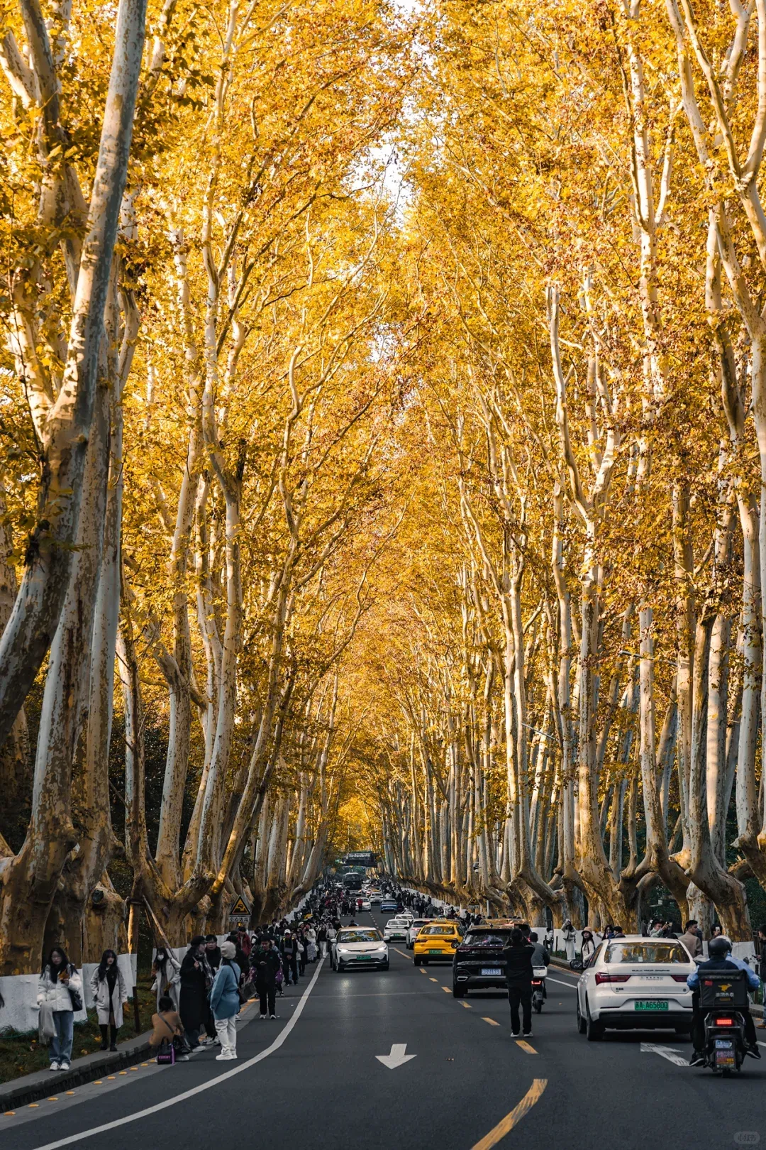 61f10e9a525572b8e3eddb1cd6520c89-sz_3796473 61f10e9a525572b8e3eddb1cd6520c89-sz_3796473