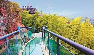 元旦不涨价🍁纯玩！特价298元《宁波赏“枫”☘️一价全含二日游》1自助早+2正◇“色彩斑斓”打卡『网红红杉林』四明山玻璃栈道◇东钱湖小普陀