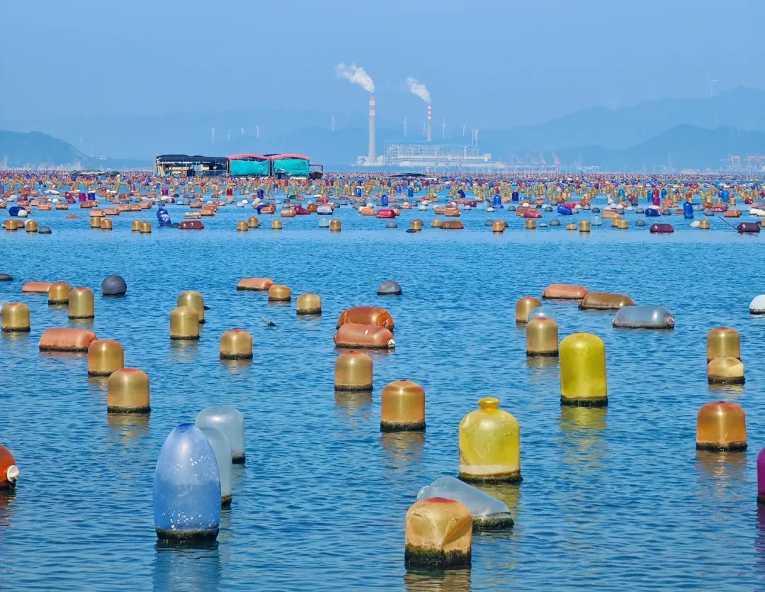 621ac3b666126ba53bd92dac5f0375a4-sz_1304434