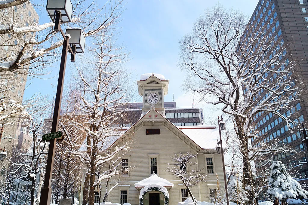 62989c3086d44a9b1d1d4a7ee3300bad-sz_495932