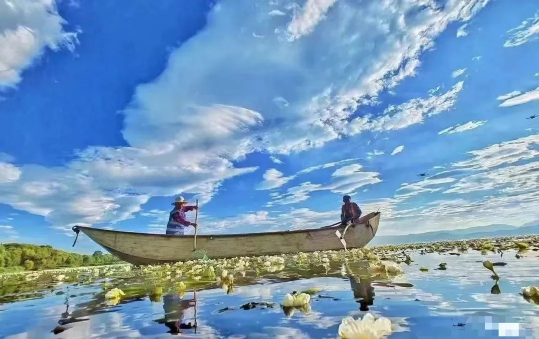 63240314963a0173d8a8d56584216c2f-sz_637349