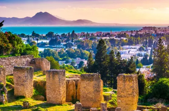 63b8622aa17618ff42452aa6cf2cdf57-sz_578070