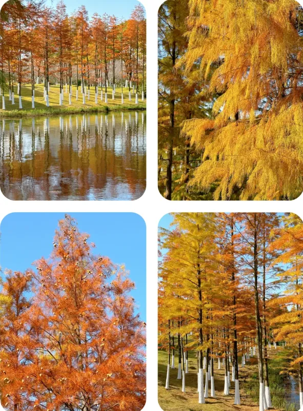 63e03f1990e2f199b2964634813a20a9-sz_1184901-1 63e03f1990e2f199b2964634813a20a9-sz_1184901-1