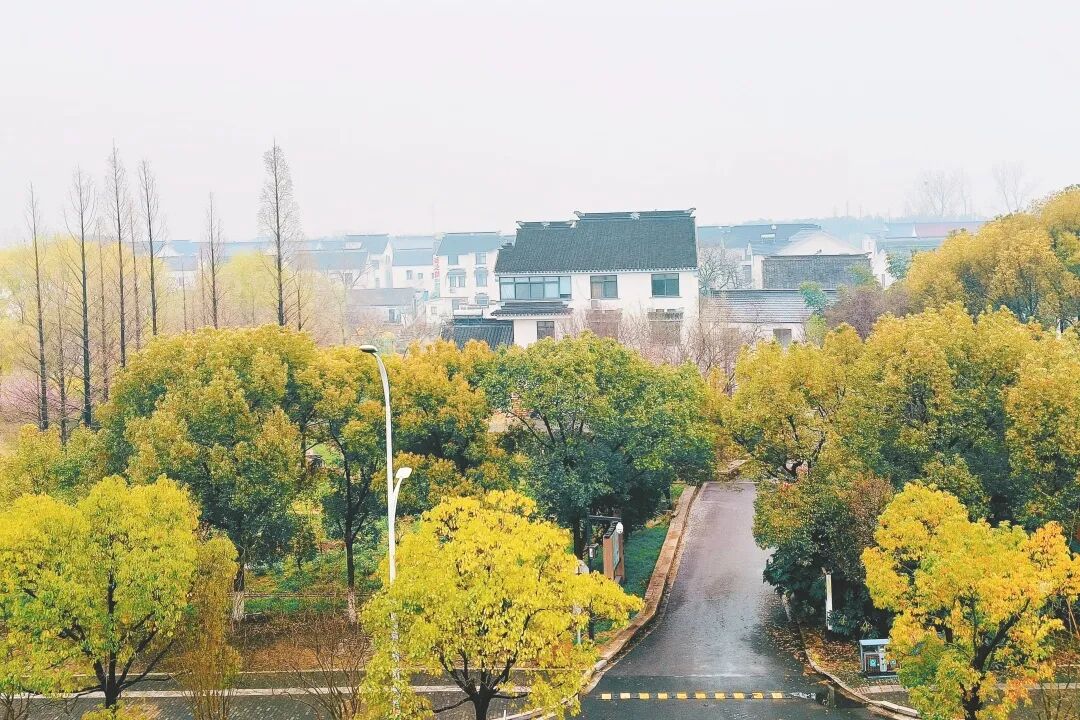 【自驾/跟团均可】苏州东山赏花采果~太湖湖畔水泽堂民宿，吃住全含，KTV/麻将畅玩~出门便是黄墅村网红公园~~~