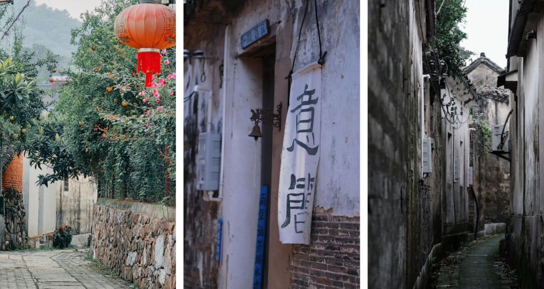 太划算了·苏州太湖·西山岛·农家民宿·3天2晚·398·全含·2早5正餐·往返大巴·门票送·林屋洞·东郊古村·横山岛·