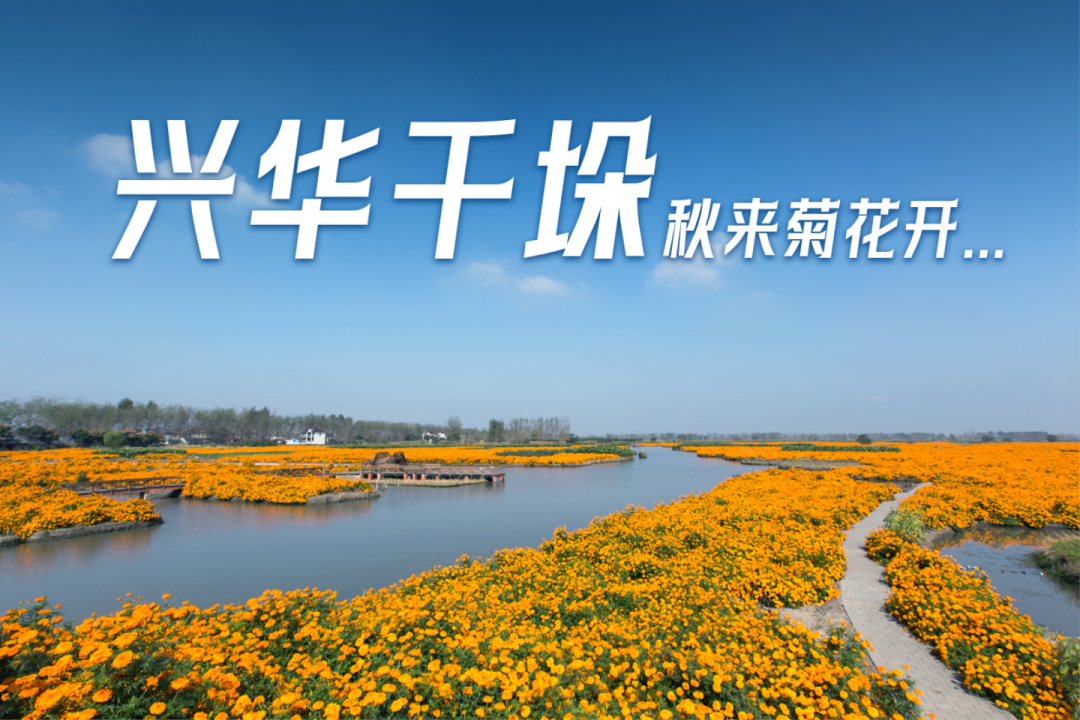 兴化·千垛花海·市区C位·豪华榜·西子君亭酒店·3日·4日·5日·469·聚会游·4人起·2早4正餐·麻将·唱歌·近金东门老街~