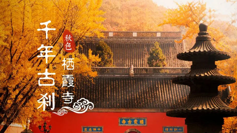 7星旅聚-栖霞山赏枫~南京超五星『悬崖深坑-蜂巢酒店』499元起◆含2早3正◆升级1顿价值88元自助晚餐◆棋牌畅打纯玩套班三日