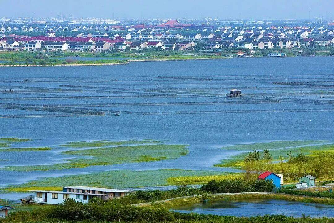 【苏州东山宾馆】枕太湖听风，看醉美东山，卧花园式国宾馆，坐拥45万㎡花园美景，窗外即美景！赠免费棋牌/k歌/泳池/亲子乐园