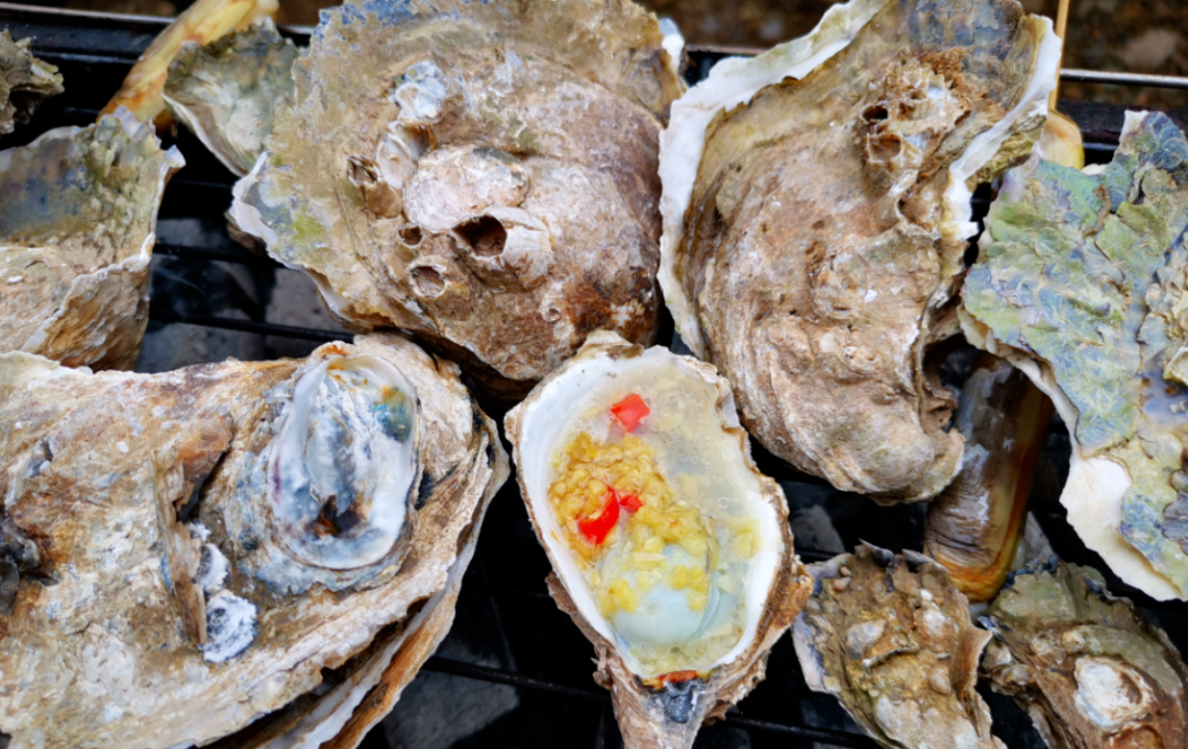 640BDgytsTJmiyWgTJL 640BDgytsTJmiyWgTJL