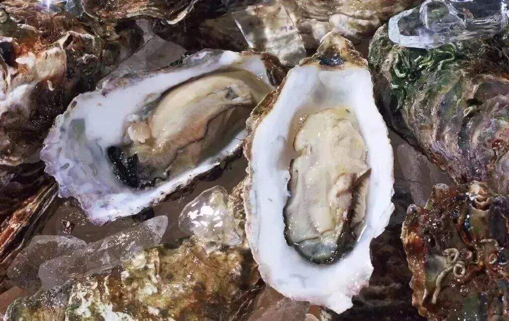 640xIvPtJWsyOfLmKyK 640xIvPtJWsyOfLmKyK