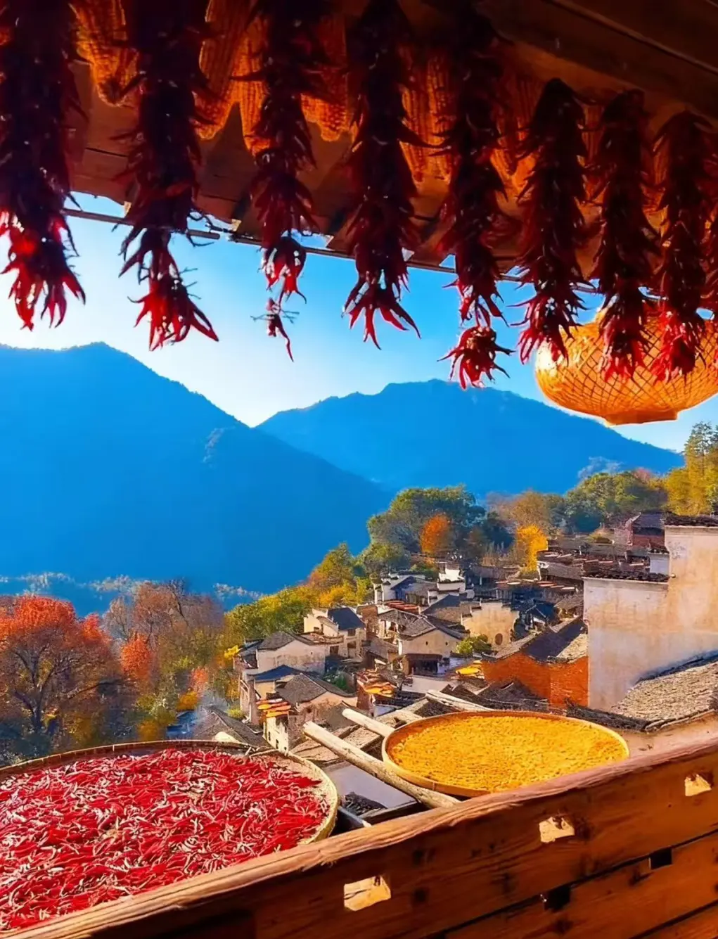 6421ad5a28aa1cd69c082912d9f04f82-sz_315740