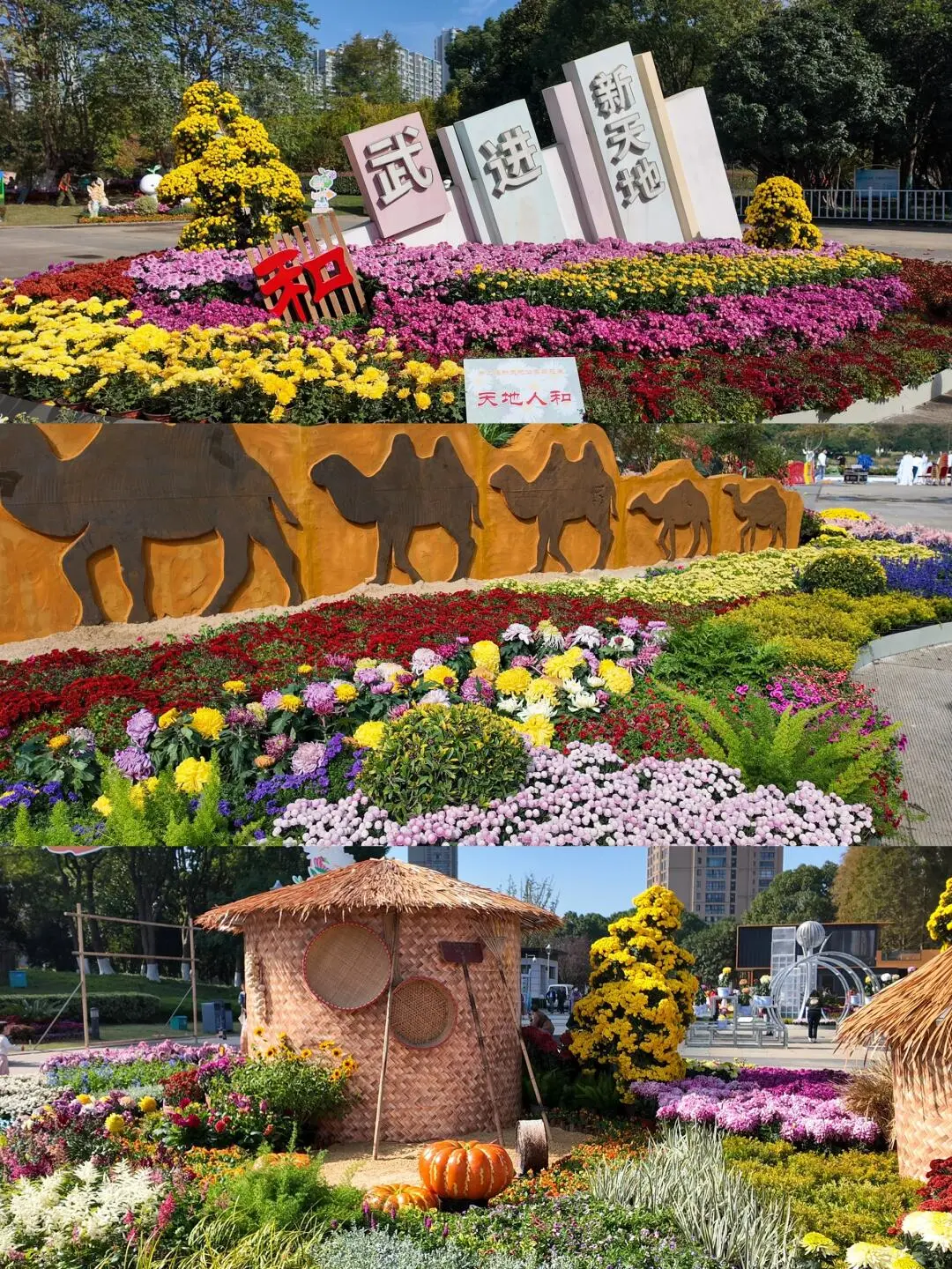 642d7a8890048ab1e9ddea7d2523adb6-sz_477678