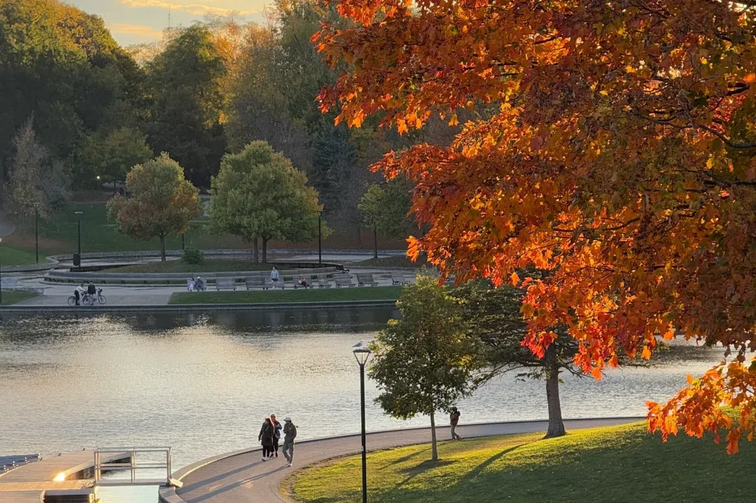 645ec30b48e8b5db6fe9ceb9dbc57a1a-sz_3268462