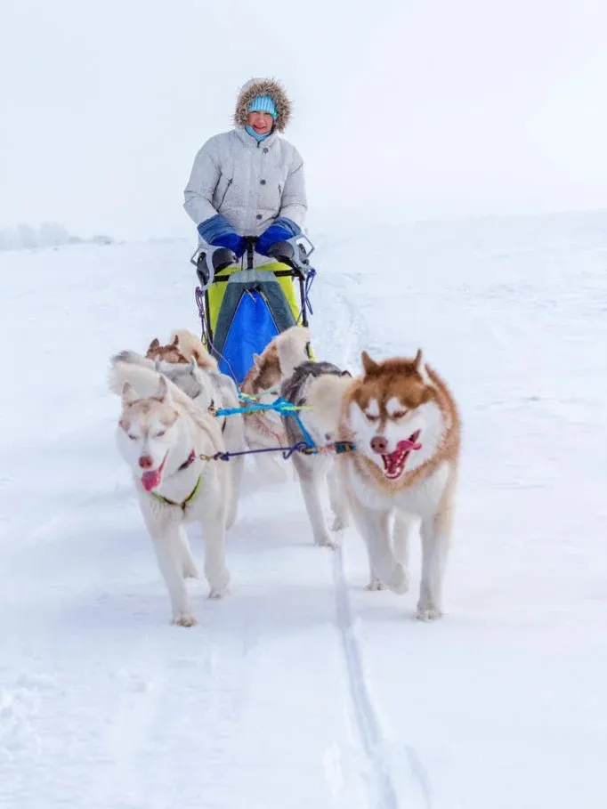 648c5a6fb89e9d3c3dba8d73621ab8e1-sz_68953