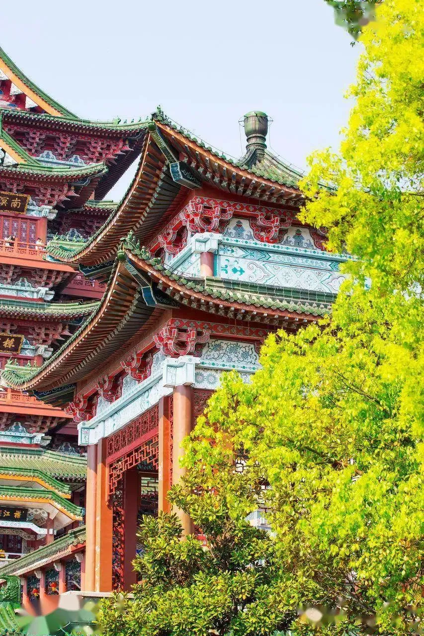 64f34f545da034f0c44844802aa8db5c-sz_2478323