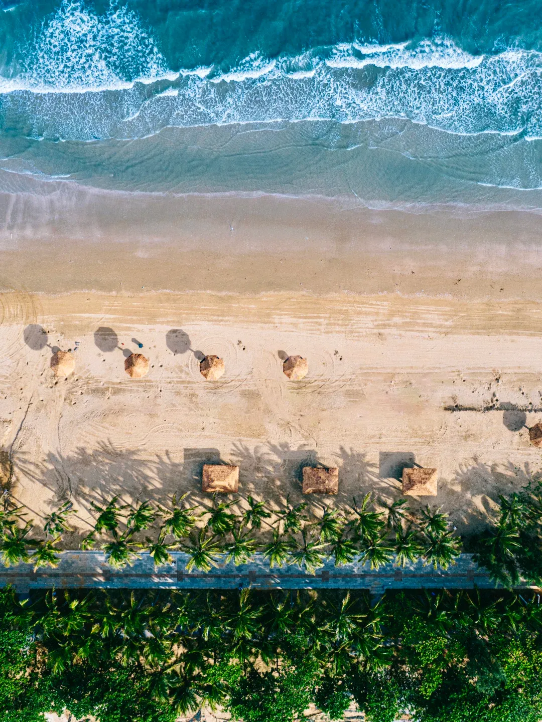 65219ebd5cb83cf7bf27edc14c19197b-sz_3233550