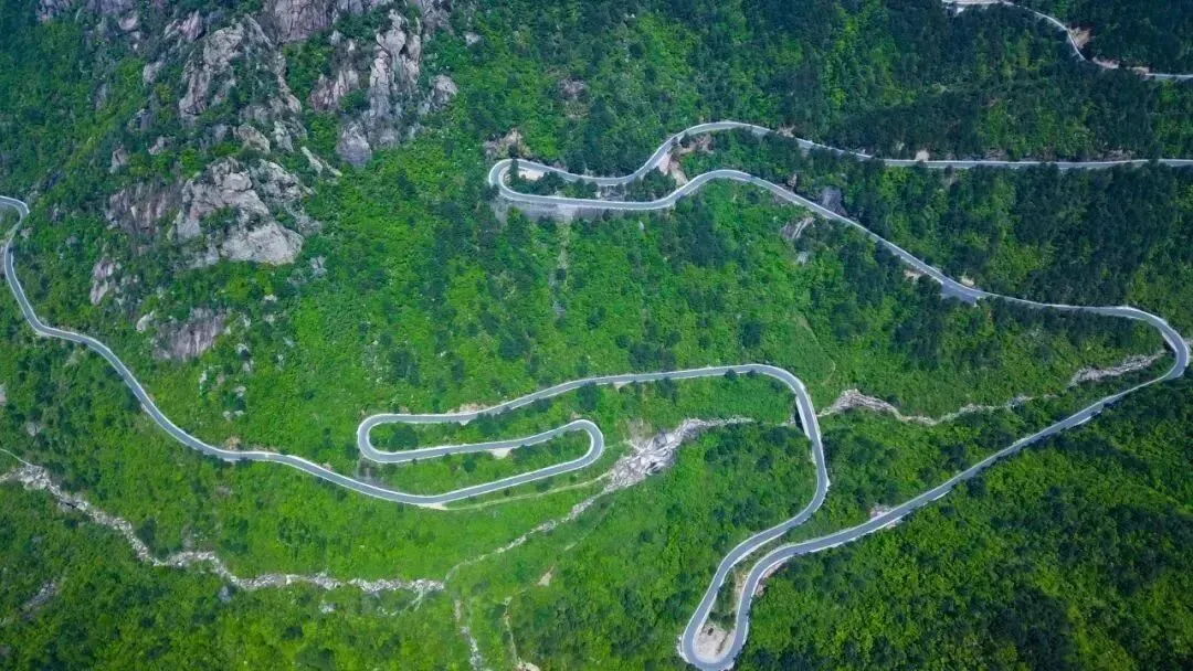 6541e543b0559438d037d102fd013b06-sz_168231