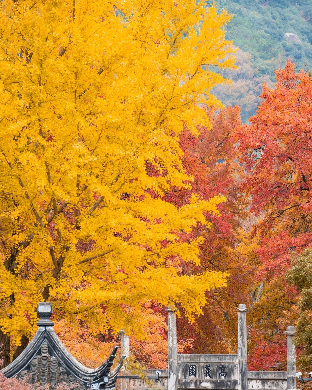 6553eb0f9f0bdf03515170706288f80e-sz_2172615