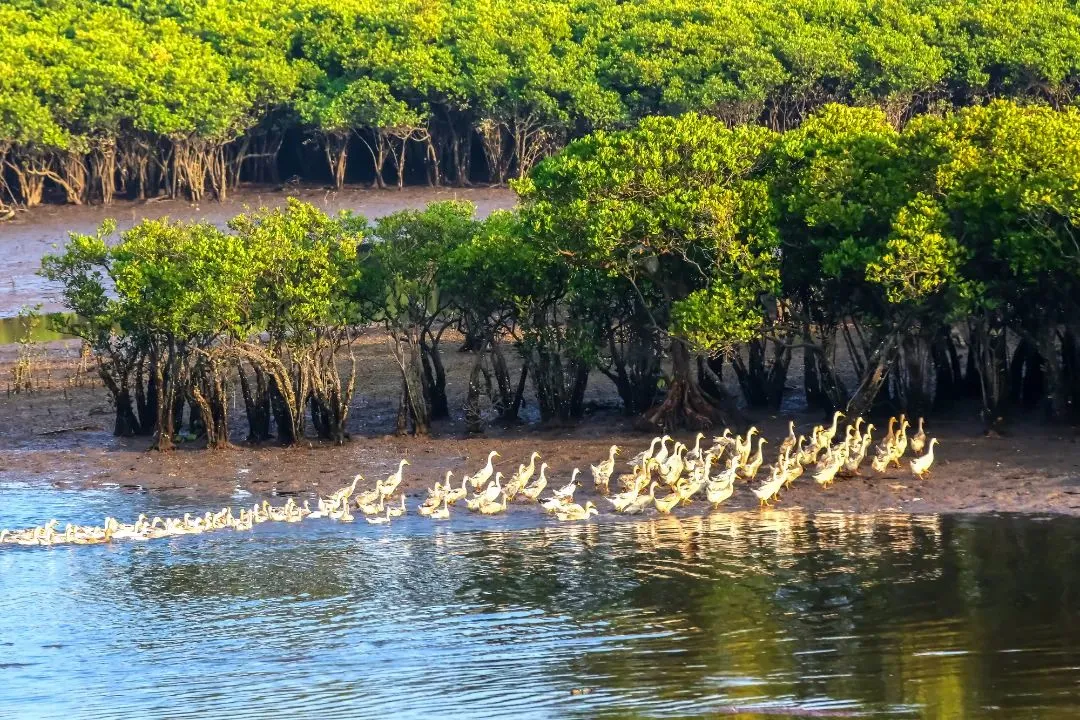 656fbc0d3dee04b05a6ce03b13f24c55-sz_262267-2