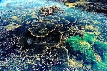 65762da4084856da100788c4bca419fe-sz_45918 65762da4084856da100788c4bca419fe-sz_45918