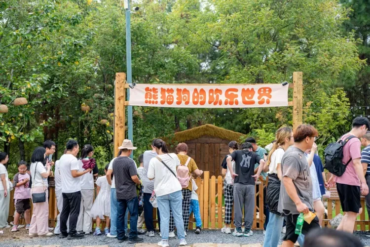 657859732781245129d9e85b9acece24-sz_725259