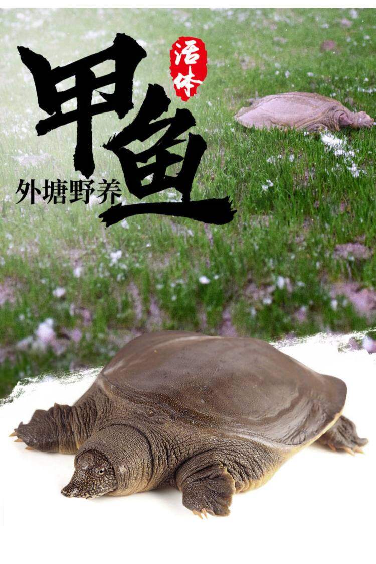 6597RDWDiMuHUfFm22IwbIpIqdcAfhph 6597RDWDiMuHUfFm22IwbIpIqdcAfhph