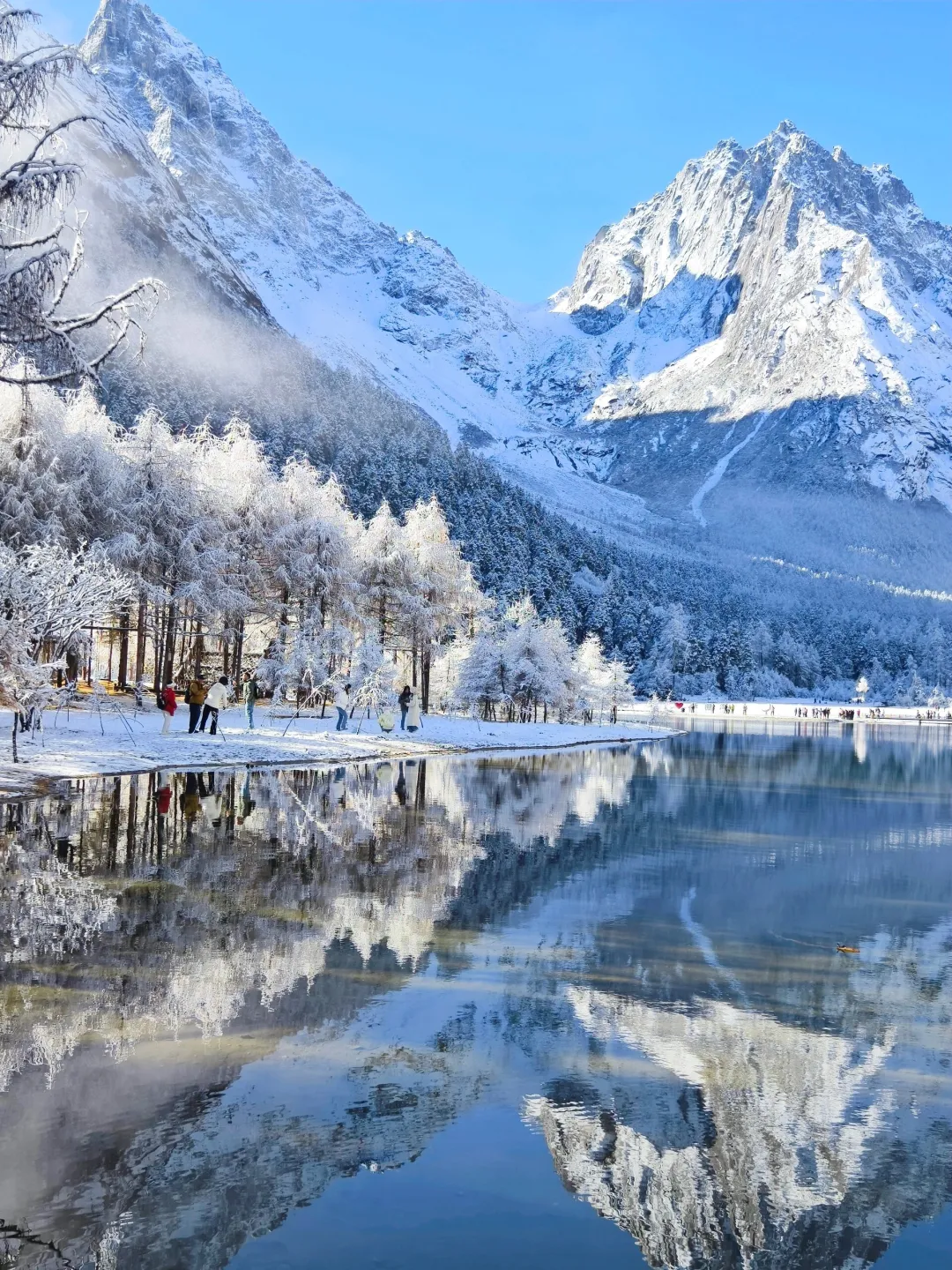 6656eaac4bb1d99b0d335433a4494479-sz_1462334