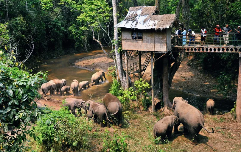 6667e3c94241043b5d248a72420a4362-sz_1304968