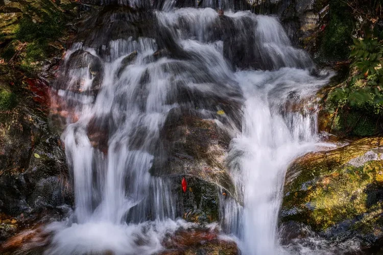 6671989305355f8e214e8b2ff6d9c80b-sz_520619