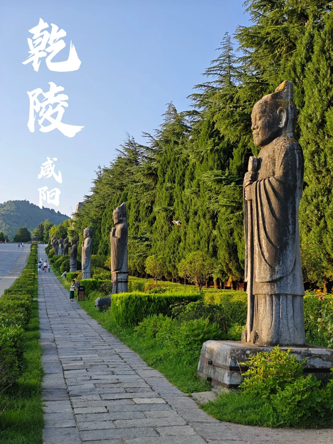 66749f479940e1e4a834a86e1bbe673c-sz_3488597 66749f479940e1e4a834a86e1bbe673c-sz_3488597