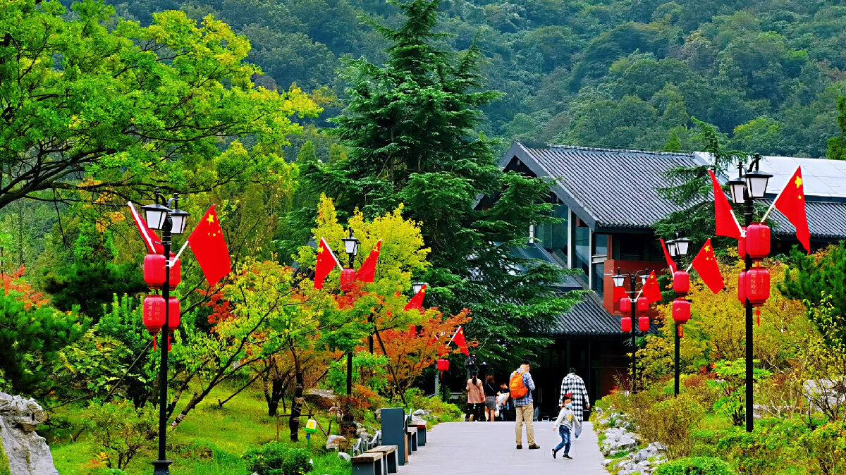 66795cab965423071f470c4496934112-sz_789621