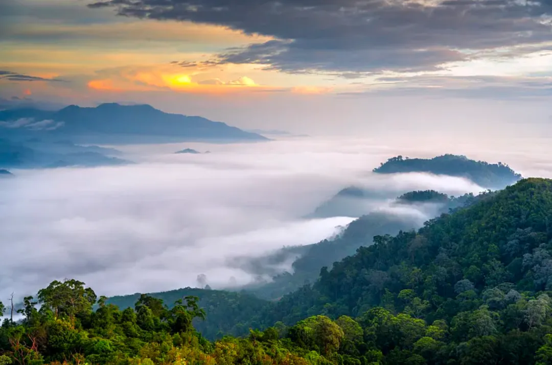 66798bdbfe4b057f623d87e47d87cd44-sz_1269865 66798bdbfe4b057f623d87e47d87cd44-sz_1269865