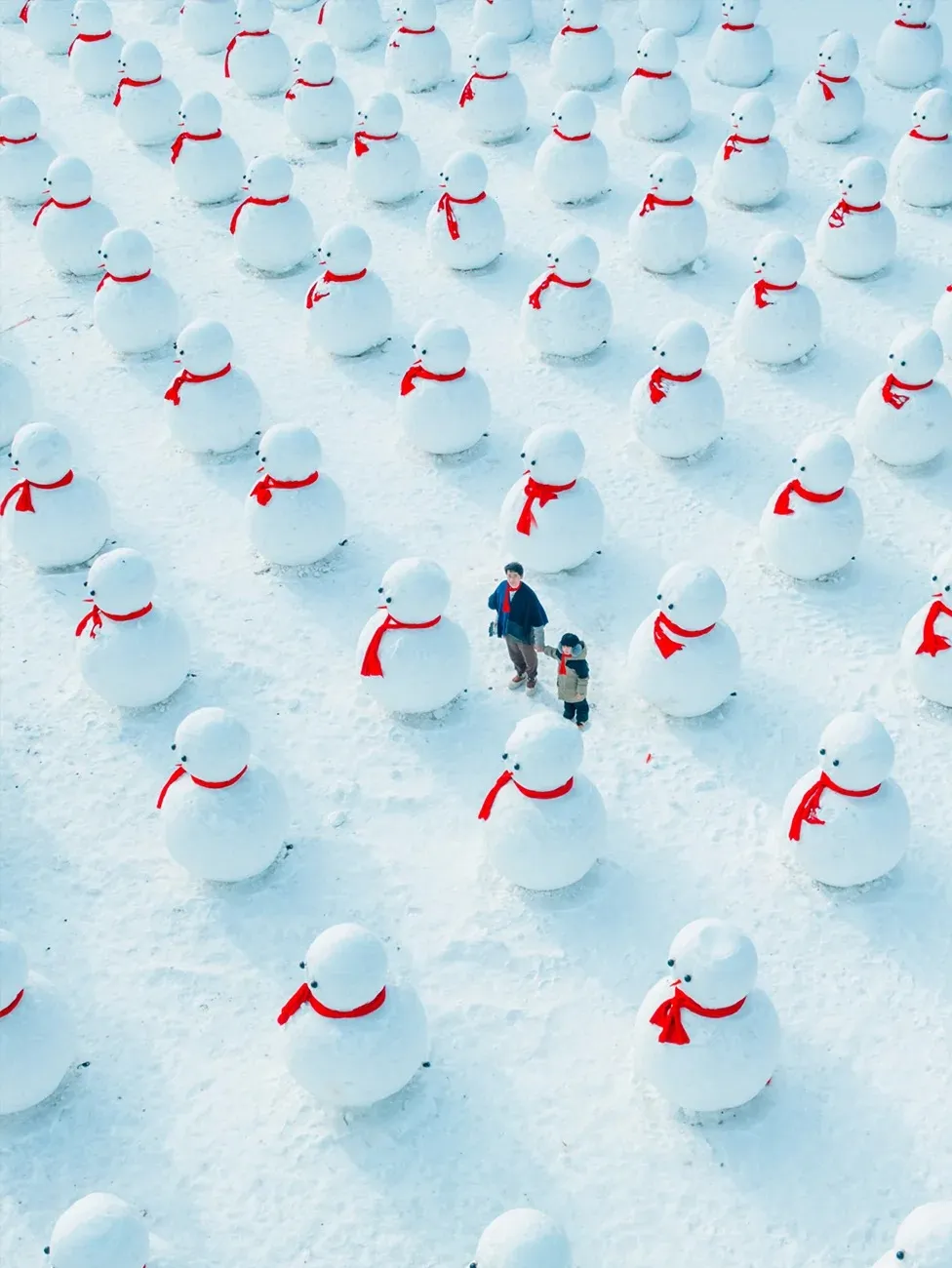 66867a680f575e3adb1f92980f49371c-sz_276501