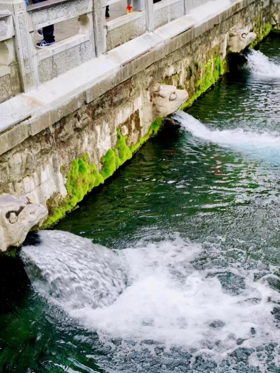 66a85f612fb3ea956a911f88464bdd2a-sz_465941