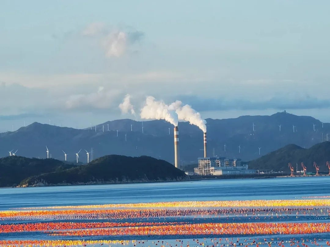 66b6ce2970e12701ba8cbb0ef047eda4-sz_1104452