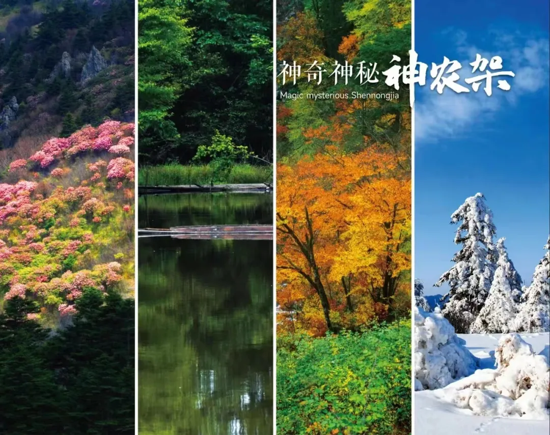 66daa9cc33db1344ab39735dbf147064-sz_1022704 66daa9cc33db1344ab39735dbf147064-sz_1022704