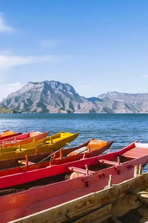 66e1ccd86bbd263311e9f2db713b4add-sz_47188