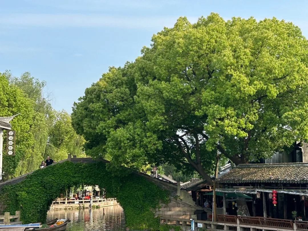 671d72727caf5e36dc2adc37a18fcce1-sz_1241127