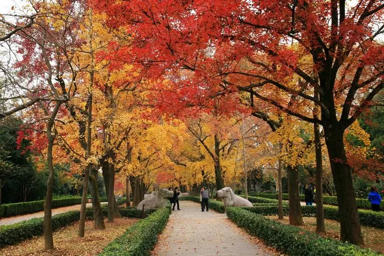 671ebdd15ad9f08b72c7edf43acbc69d-sz_125525-1 671ebdd15ad9f08b72c7edf43acbc69d-sz_125525-1