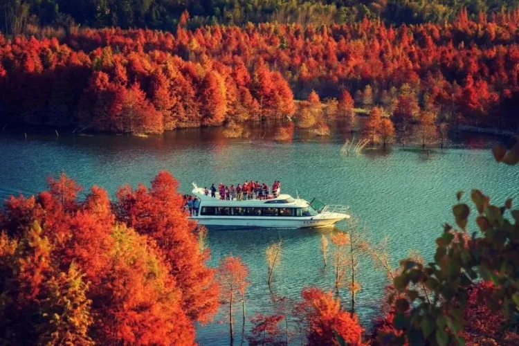 6720f8935f472ff4ef20399ed7bbecca-sz_193552 6720f8935f472ff4ef20399ed7bbecca-sz_193552