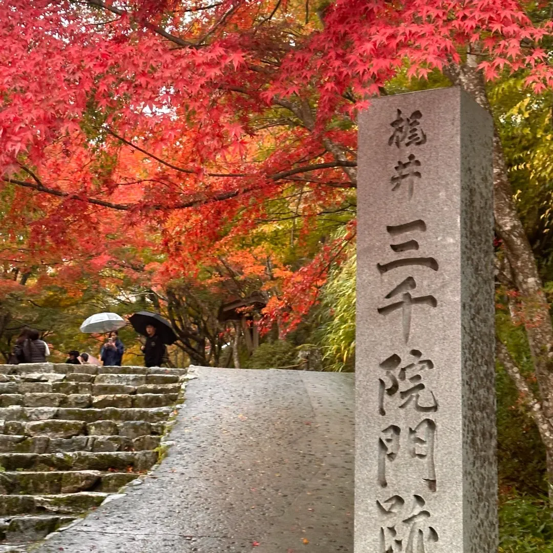 672a5fb2ccc3e3956cb99c637ca5a74f-sz_608350 672a5fb2ccc3e3956cb99c637ca5a74f-sz_608350