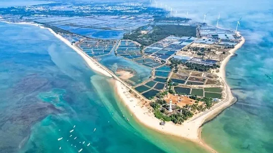 672f474a6c0cb0d8765b95a0d0713164-sz_364854