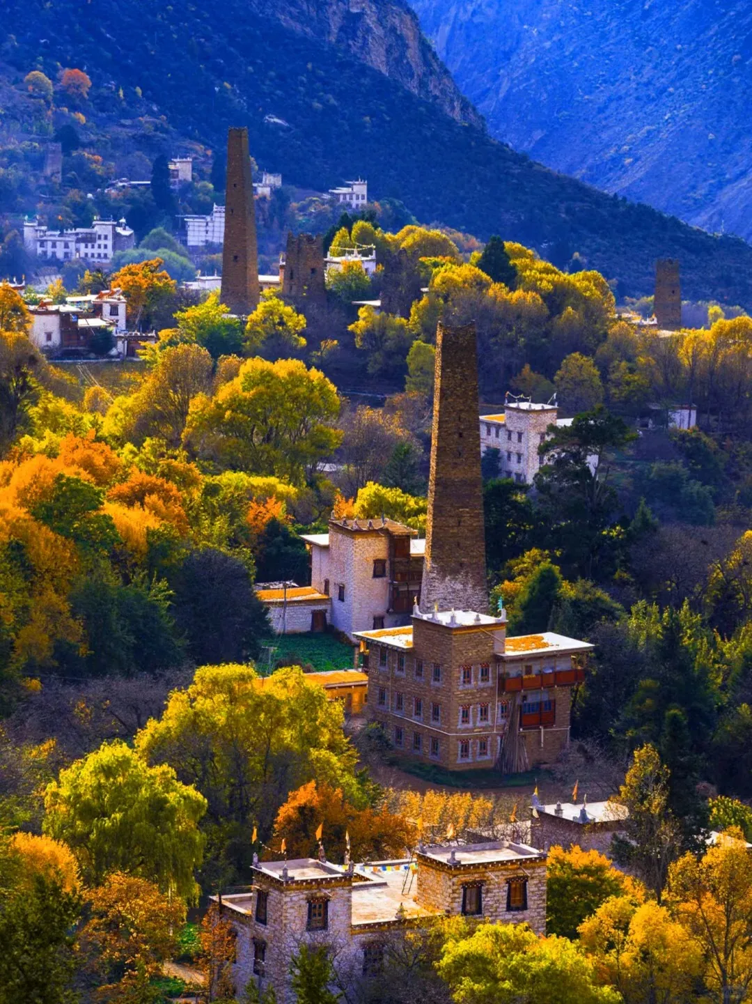 6737a065c0f26e69b071c83c37659afc-sz_554729